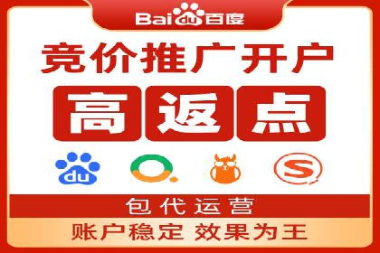 案例分析：SEM竞价代运营策略优化